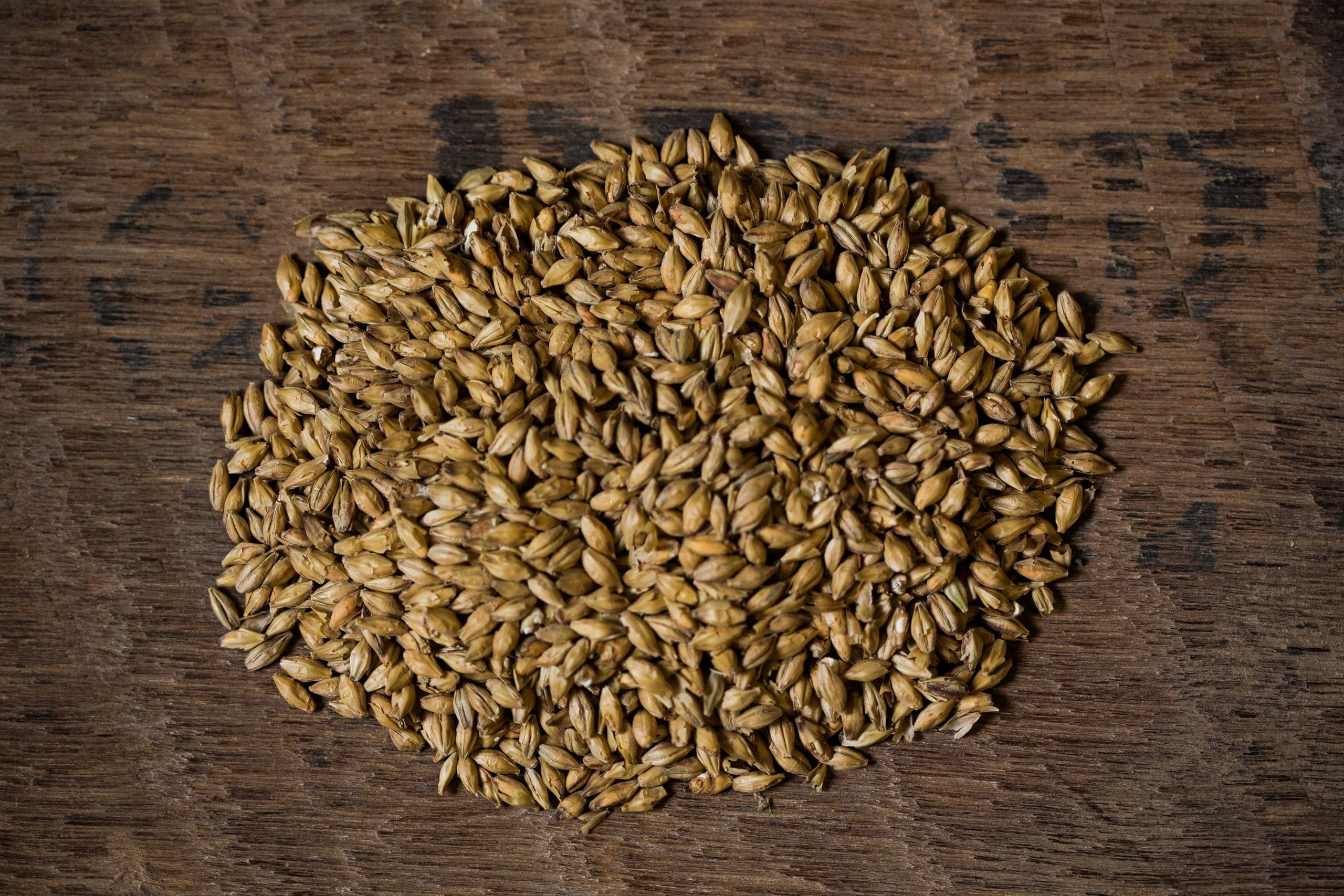 Pale Ale Malt Bairds Malt